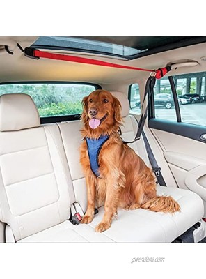 PetSafe Happy Ride Dog Zipline Back Seat Leash Great for Travel