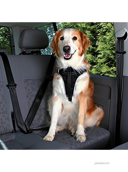 Trixie Dog Comfort car Harness S-M: 40-55 cm 20 mm Black