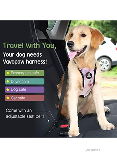 VavoPaw Dog Vehicle Safety Vest Harness Adjustable Soft Padded Mesh Car Seat Belt Leash Harness with Travel Strap and Carabiner for Most Cars