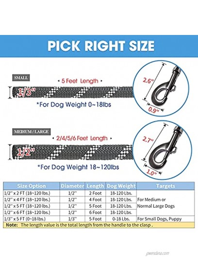 BAAPET 2 4 5 6 FT Strong Dog Leash with Comfortable Padded Handle and Highly Reflective Threads for Small Medium and Large Dogs