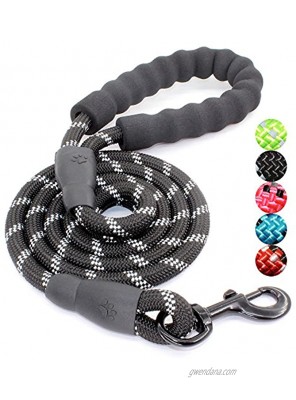 BAAPET 2 4 5 6 FT Strong Dog Leash with Comfortable Padded Handle and Highly Reflective Threads for Small Medium and Large Dogs
