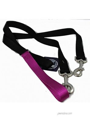2 Hounds Design Freedom No Pull 1 Inch Training Leash ONLY Works with No Pull Harnesses Raspberry