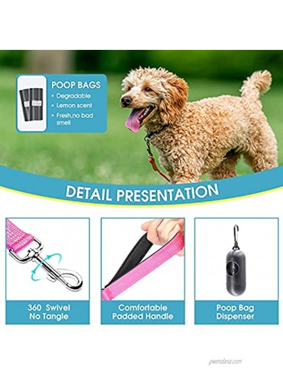 BAAPET 5 Feet Nylon Dog Leash with Triple Reflective Threads and Comfortable Padded Handle for Walking Training Lead Small Puppy Medium and Large Dogs or Cats