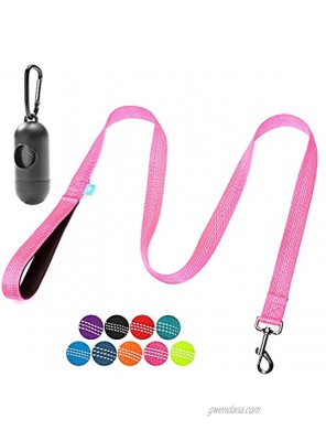 BAAPET 5 Feet Nylon Dog Leash with Triple Reflective Threads and Comfortable Padded Handle for Walking Training Lead Small Puppy Medium and Large Dogs or Cats