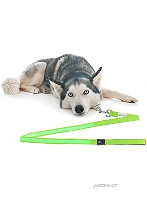 Ella Cricket LED Dog Leash USB Rechargeable Light Up Dog Leash 4ft 120cm Neon Green Nylon LED Strip 4ft Makes Your Dog Visible Safe & Seen Dog Leashes for Small and Medium Dogs