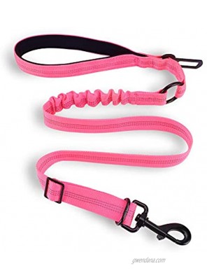 HAOKAY 5 FT Bungee Dog Leash for Small Medium and Large Dogs Reflective Pet Training Long Traffic Leash with Car Seat Belt.