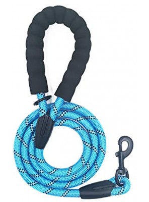 JEWOSTER 5 FT Strong Dog Leash with Comfortable Padded Handle and Highly Reflective Threads for Medium and Large Dogs
