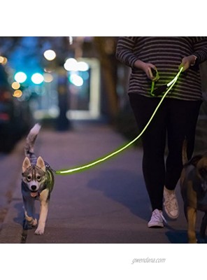 NiteyLeash LED Glow in The Dark Pet Dog Leash
