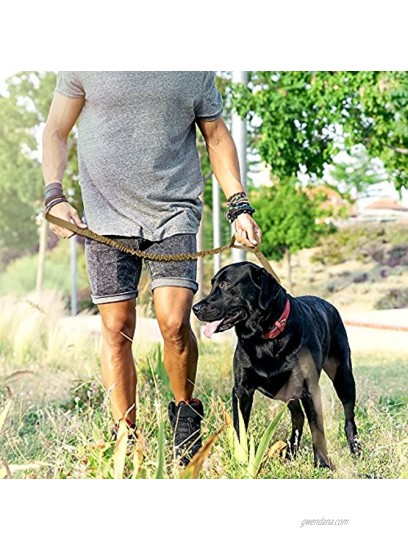 OutdoorMaster Bungee Dog Leash Improved Dog Safety & Comfort