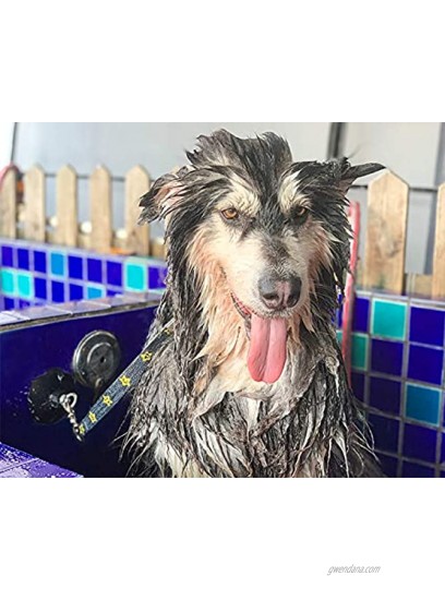 Pet Dog Grooming Loop Pet Bathing Tether Straps Heavy Duty Nylon Restraint Noose for Pet Bathing