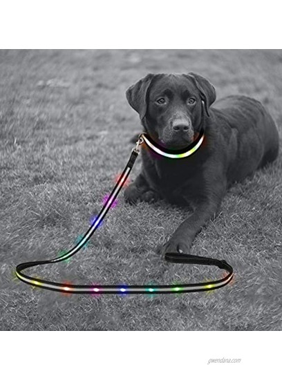Yacig LED Dog Leash USB Rechargeable Color Changing Night Safety Dog Leashes for Small Medium and Large Dogs