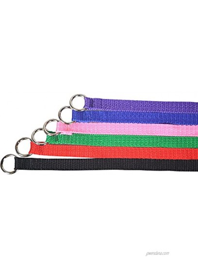 Downtown Pet Supply Slip Leads Kennel Leads with O Ring for Dog Pet Animal Control Grooming Shelter Rescues Vet Veterinarian Doggy Daycare 4 Foot Length x 1 2 inch Width