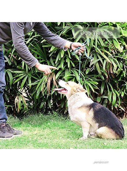 Grand Line Reflective Rope Slip Training Lead Pets Leash for Small Medium Large and Extra Heavy Dogs and Cats