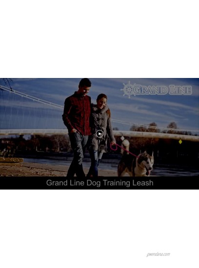 Grand Line Reflective Rope Slip Training Lead Pets Leash for Small Medium Large and Extra Heavy Dogs and Cats