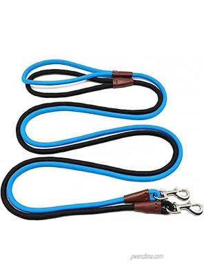 Mycicy 2Pack Dog Leash 5 FT Strong Nylon Rope Classic Solid Colors for Medium Large Dogs ,Reinforced with Leather Tailor Connection Heavy Duty Silver Clasp