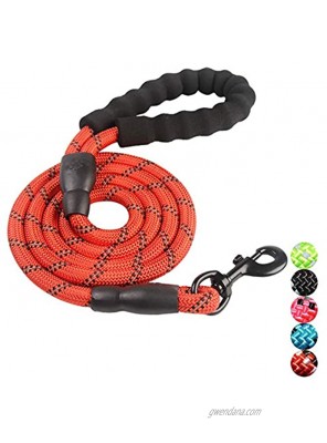 PETnSport 5 FT Heavy Duty Training Dog Leash w Soft Padded Handle and Heavy Duty Clip Highly Reflective Dog leashes for Medium Large Dogs