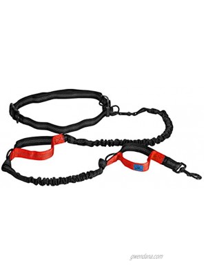 Dog Running Belt and Hands Free Bungee Leash for Medium and Large Dogs Great Leashes for Walking Running or Hiking Double Handles for More Control During Training or in Traffic