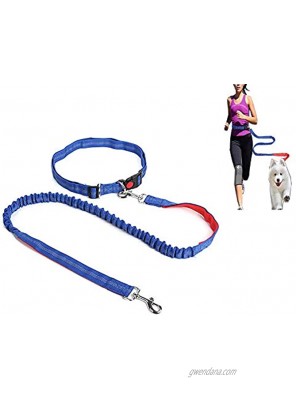 Hands-Free Dog Leash Waist Leash for Hands-Free Dog – Professional Harness with Reflex Stitches Large Medium and Small Dogs