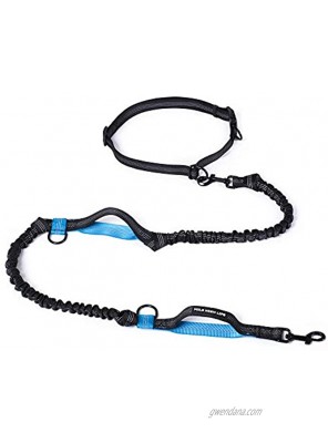 Mile High Life | Retractable Hands Free Dog 7FT Leash | Waist Running Adjustable | Reflective Dual Black Bungees | Dual Handles | Small Medium Large Dogs | Blue