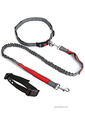 Retractable Hands Free Dog Leash 3 in 1 Pet Set Dual Handle Bungee Running Walking Hiking Lead with Waist Band and Dog Collar for Puppy Medium Large Dog