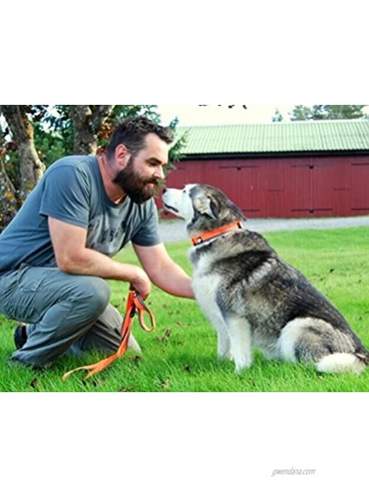 SGODA Dog Leash Hands Free Bungee Leash for Walking Running Training,Nylon Dog Lead with Soft Padded Waist Belt