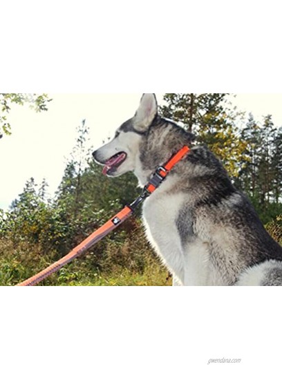 SGODA Dog Leash Hands Free Bungee Leash for Walking Running Training,Nylon Dog Lead with Soft Padded Waist Belt