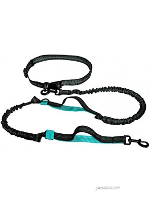 Tenwell Retractable Hands Free Prime Dog Leash 5ft with Dual Handle and Bungees 27 to 48inch Ajustable Waist Belt for Running Walking Jogging Hiking Durable Supports Pulling 140 lbs Medium Large Dogs