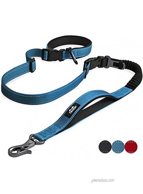 TwoEar 6 in 1 Reflective Dog Leash Soft Dual Padded Handles Bungee Adjustable Hands Free Dog Leash Dog Seat Belt,Training Hiking Running or Jogging for Small Medium Large DogsBlue