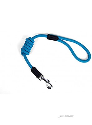 Chewy Dog Leash | Dog Leash | Climbing Rope; Comfortable and Thick Leash Suitable for Small Dogs Medium and Large Dogs Blue 1 2'' x 4 FT
