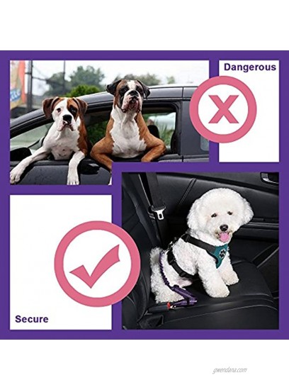 Slowton Double Dog Car Seat Belt Dual Pet Vehicle Safety Seatbelt Adjustable Double Dog Coupler Lead Splitter Elastic Bungee Reflective Stripe Two Pets Car Trip Travel Purple