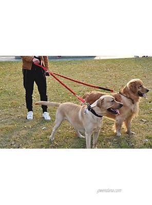 SLZZ Premium No Tangle Dual Dog Leash Lead Comfortable Soft Grip Foam Handle and Two Traffic Control Handle Safety Reflective Shock Absorbing Bungee for Small Medium Large Dogs
