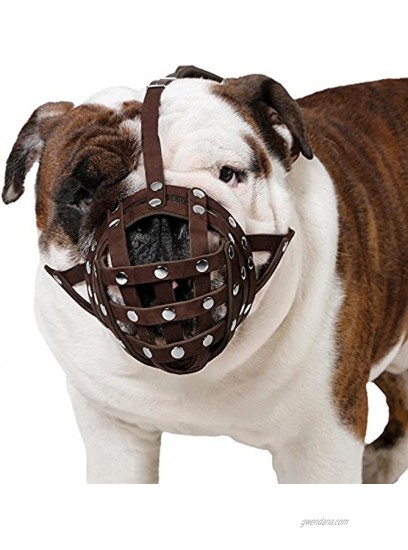 CollarDirect Basket Dog Muzzle for Boxer English Bulldog American Bulldog Secure Leather Muzzle