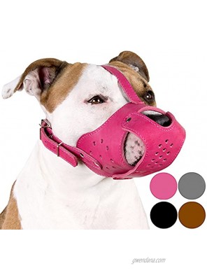 CollarDirect Dog Muzzle Pitbull Amstaff Basket Genuine Leather Staffordshire Terrier