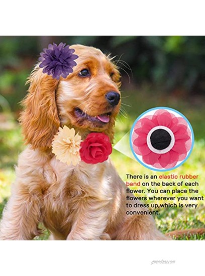 ADCSUITZ Dog Collar Flower Charm Accessories Pet Collar Harness Leash Grooming Decoration for Small & Medium & Large Dog Cat Puppy Small Animal