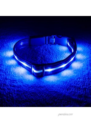 Blazin' Safety LED Dog Collar – USB Rechargeable with Water Resistant Flashing Light – Medium Blue