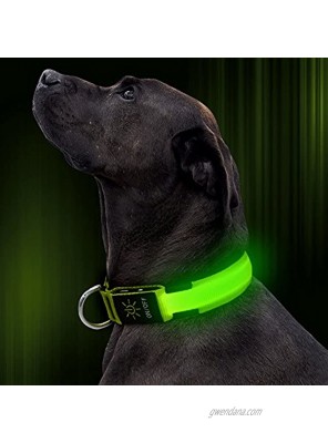 Illumifun LED Dog Collar Adjustable USB Rechargeable Glowing Pet Safety Collar Reflective Light Up Collars for Your Small Medium Large Dogs