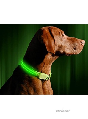 LED Dog Collar USB Rechargeable Available in 6 Colors & 6 Sizes Makes Your Dog Visible Safe & Seen