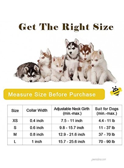 QQPETS Dog Collar Personalized Soft Comfortable Adjustable Collars for Small Medium Large Dogs Outdoor Training Walking Running S Yellow Bee