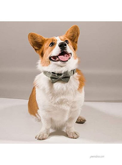 Qucey Dog and Cat Collar with Bowtie Adjustable Collars Detachable Bowtie for Small Medium Large Dogs