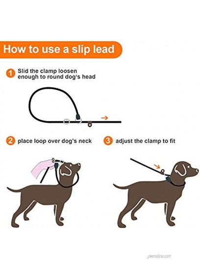 5 Feet Slip Lead Dog Leash No Choke Strong Braided Rope Slip-on Training Leash for Large Medium Small Dogs Comfortable Padded Handle Puppy Obedience Recall Training Lead