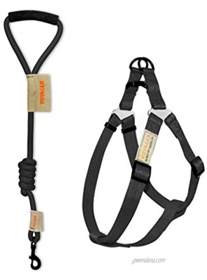 Best Pet Supplies Inc. Voyager No-Pull Adjustable Step-In Harness with 3 ft. Leash