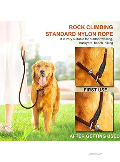 Dog Leash Slip Lead Dog Leash Extremely Durable and Waterproof Heavy Duty Control Safety 2 in 1 Rope Training Dog Leashes Perfect for Small Medium Large Dogs Black
