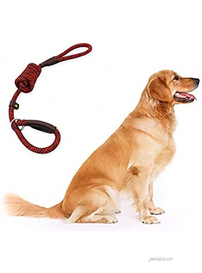 DS. DISTINCTIVE STYLE Dog Training Leash 6 Feet Rope Dog Leash Dog Slip Lead Dog Training Lead Red