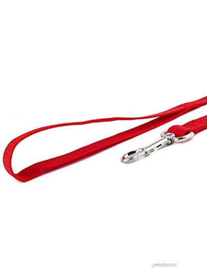 Jackpet Dog Lead Strong Belt Multiple Size 6 Ft 10 Ft 30 Ft Long Line for Midium Large Puppy Outdoor Training Leash10 Ft Red