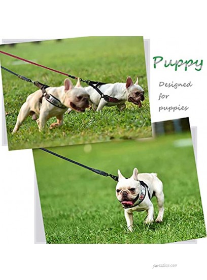 Mycicy 2 Pack 5 FT Small Dog Leash with Comfortable Padded Handle Climbing Rope Dog Leads Leash for Small Puppy Dogs Cats Camping Training Playing Hiking