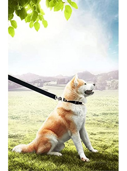 PETGOGO 15ft 20ft 30ft 40ft 50ft Long Dog Puppy Lead Obedience Recall Training Dog Leashes for Small Medium Dogs Camping Training Play or Backyard