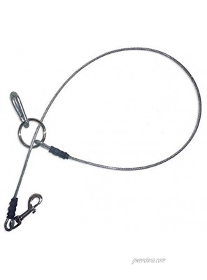 Waggin' Train Chew-Proof Indoor Tether Leash for Dogs. Prevents Destructive Chewing & Helps Housetraining