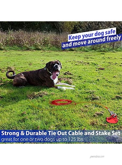 Dog Tie Out Cable and Stake 360° No Tangle Heavy Spiral Dog Yard Stake and Leash for Small to Large Dogs or Two Dogs Up to 125 lbs 30ft Dog Chain Leash for Outside Yard Camping Park 30 ft Red