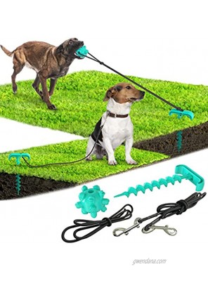 Outdoor Dog Toys for Aggressive Chewers Large Breed Dog Tie-Out Cable and Stake for Yard and Camping