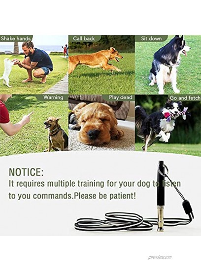 Loyalland Dog Whistle with Free Lanyard Adjustable Frequencies Ultrasonic Stainless Steel Dog Training Tool to Stop Barking Action Control Tool for Dog